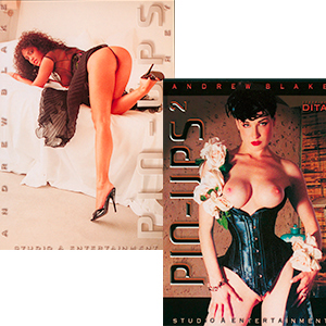 Pin Ups 1 & 2 Collectors Set DVD
